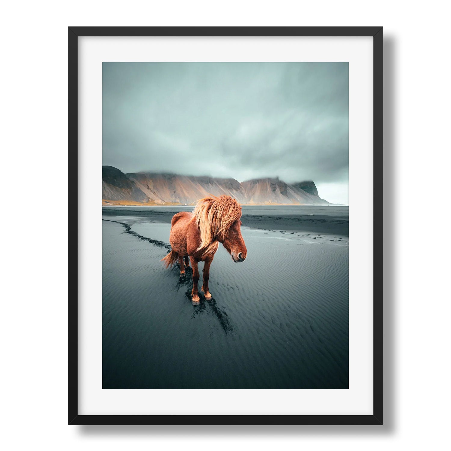 Icelandic Horse - Peter Yan Studio