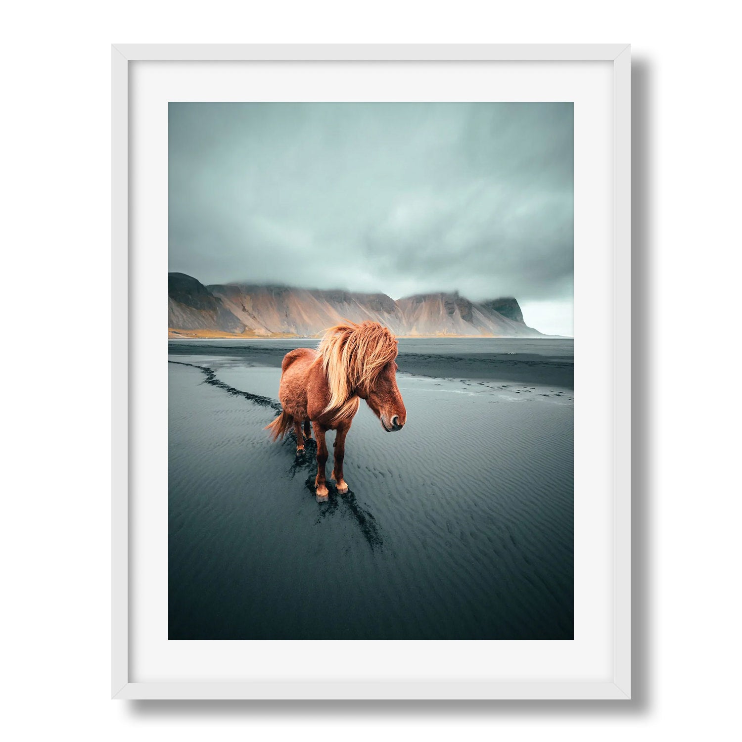 Icelandic Horse - Peter Yan Studio
