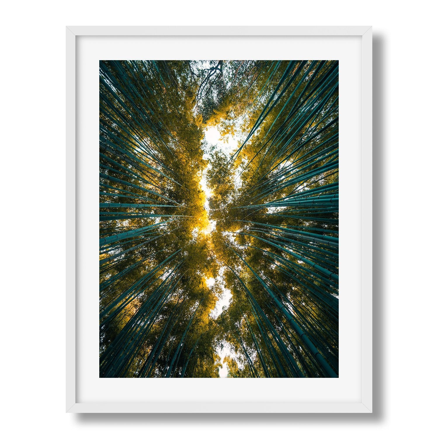 Looking Up The Bamboo Grove, Kyoto Japan - Peter Yan Studio Framed Photo Print Wall Art