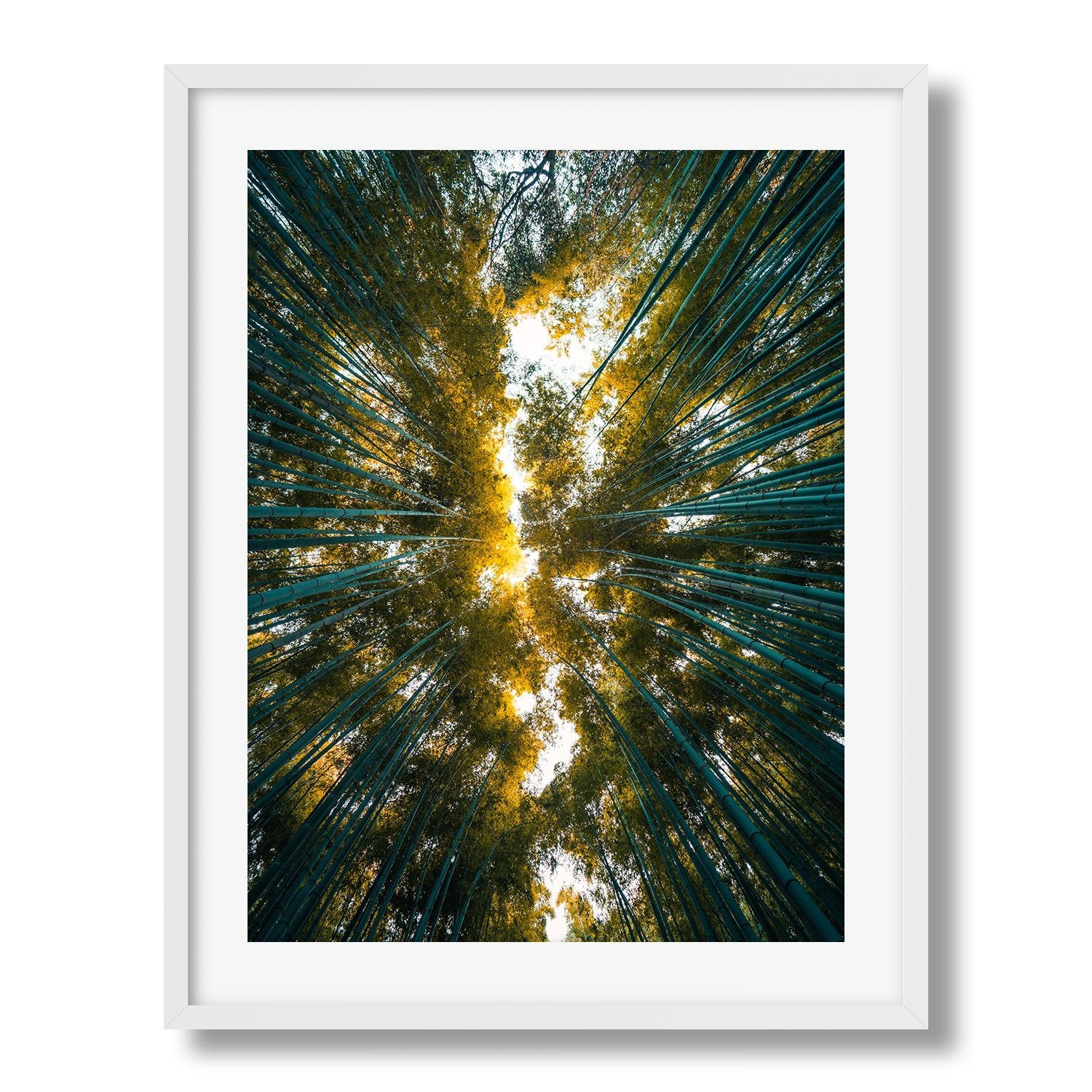 Looking Up The Bamboo Grove, Kyoto Japan | Premium Framed Print - Peter Yan Studio