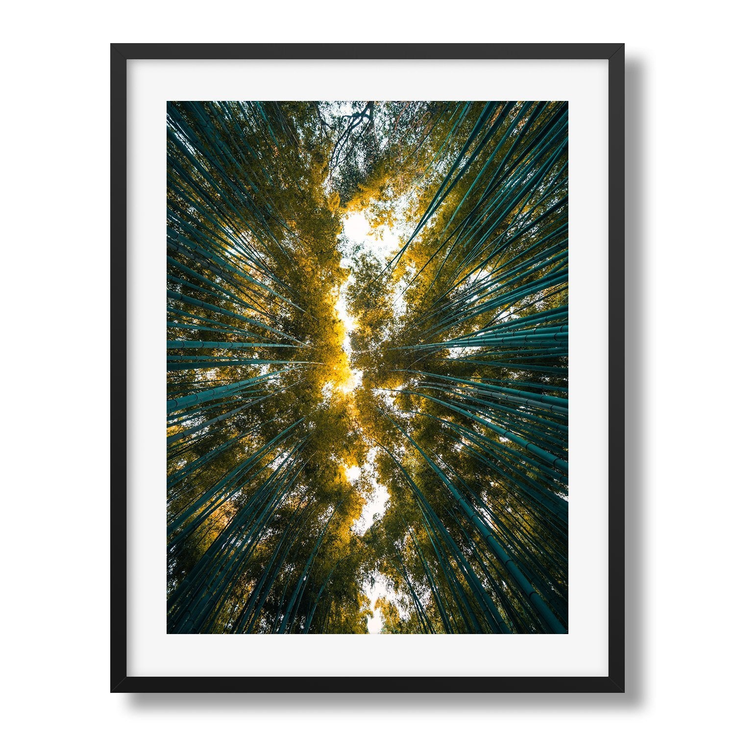 Looking Up The Bamboo Grove, Kyoto Japan - Peter Yan Studio Framed Photo Print Wall Art