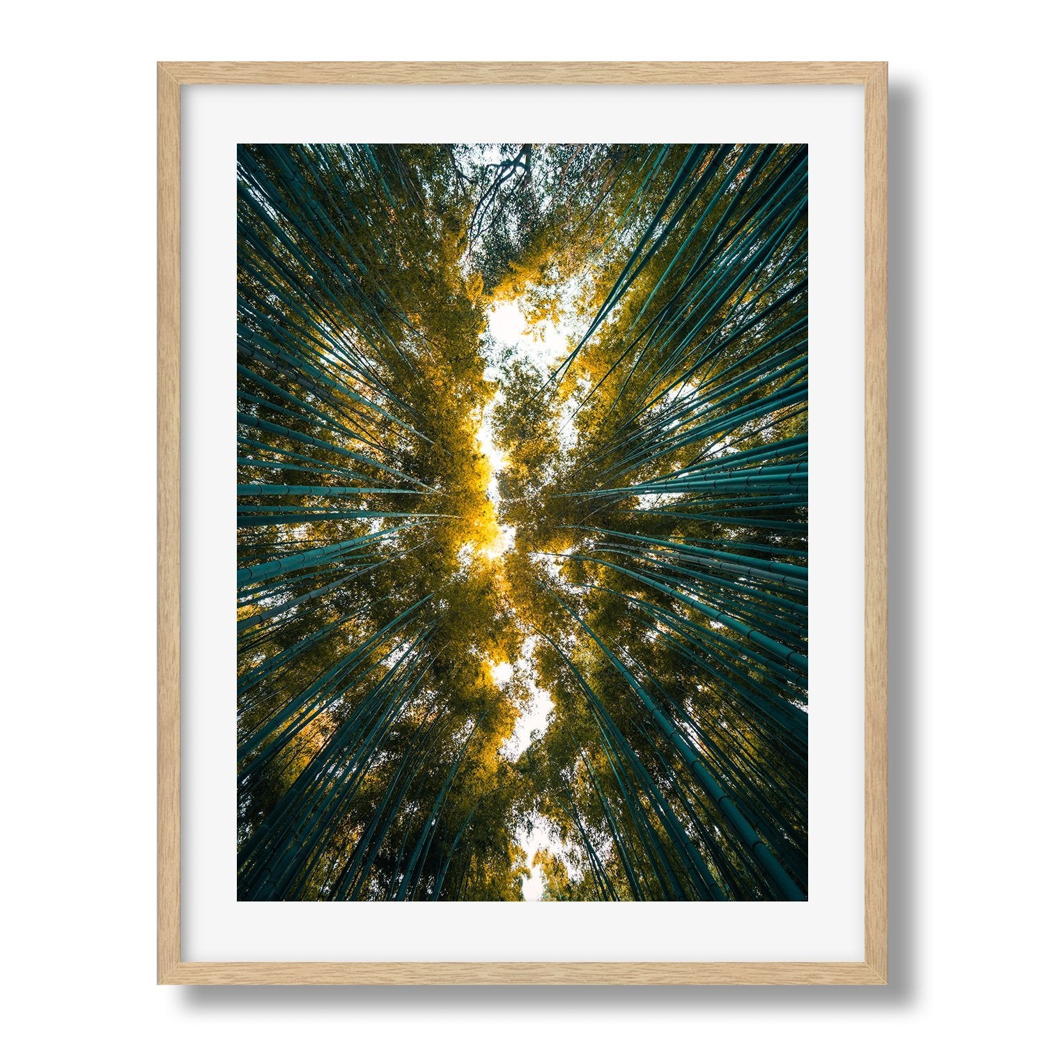 Looking Up The Bamboo Grove, Kyoto Japan - Peter Yan Studio Framed Photo Print Wall Art