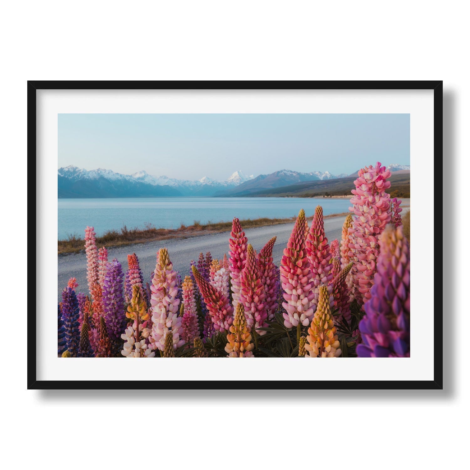 Lupin Flowers at Lake Pukaki Framed Print - Flowers by Peter Yan Studio