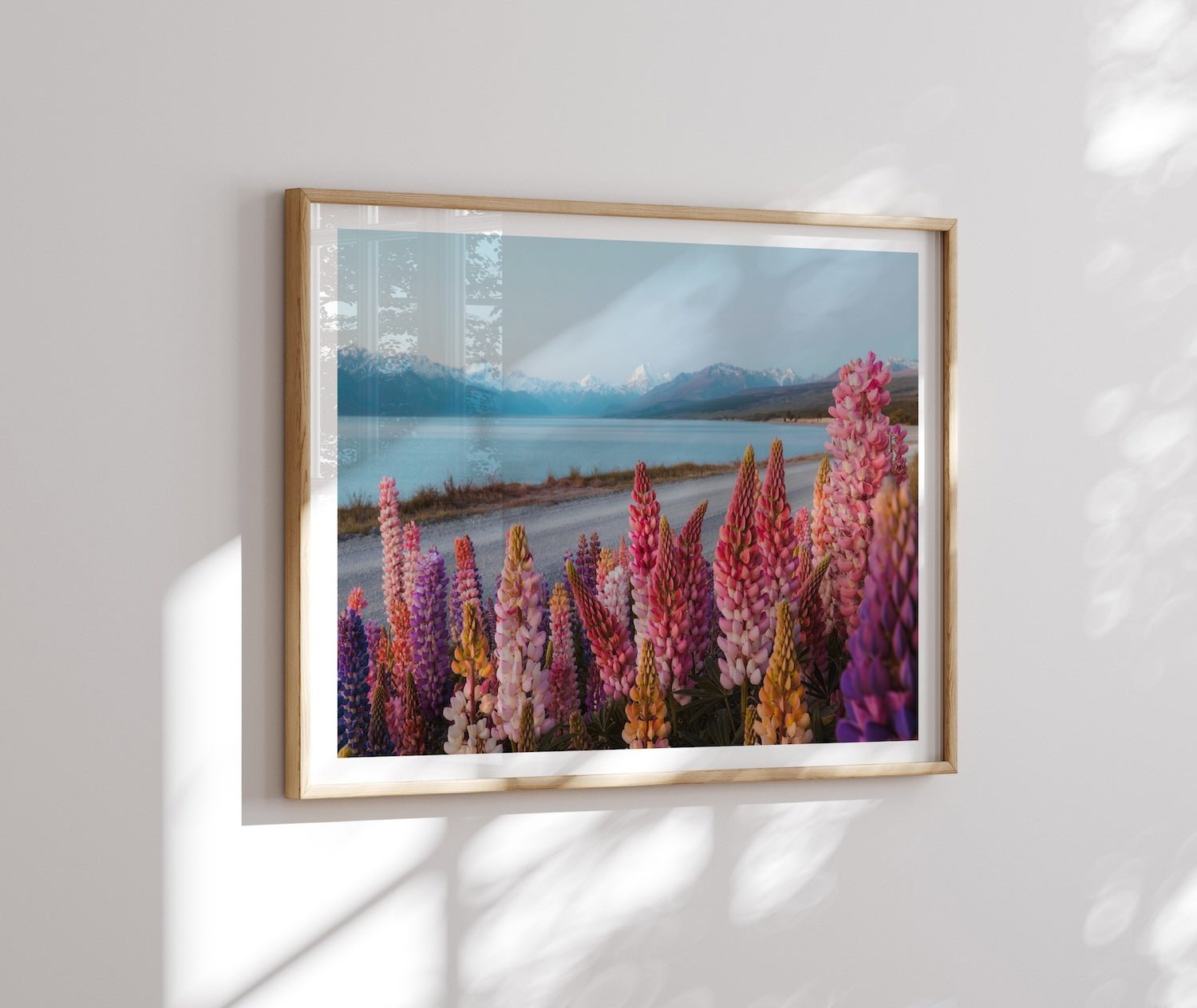 Lupin Flowers at Lake Pukaki - Peter Yan Studio Framed Photo Print Wall Art