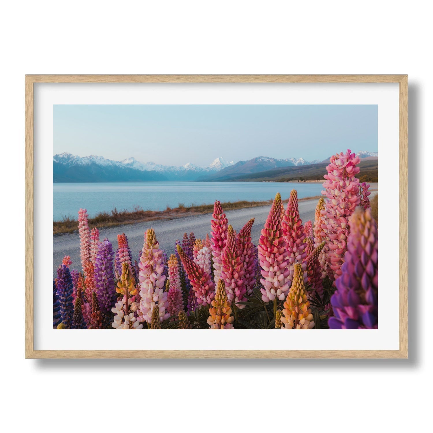Lupin Flowers at Lake Pukaki - Peter Yan Studio Framed Photo Print Wall Art