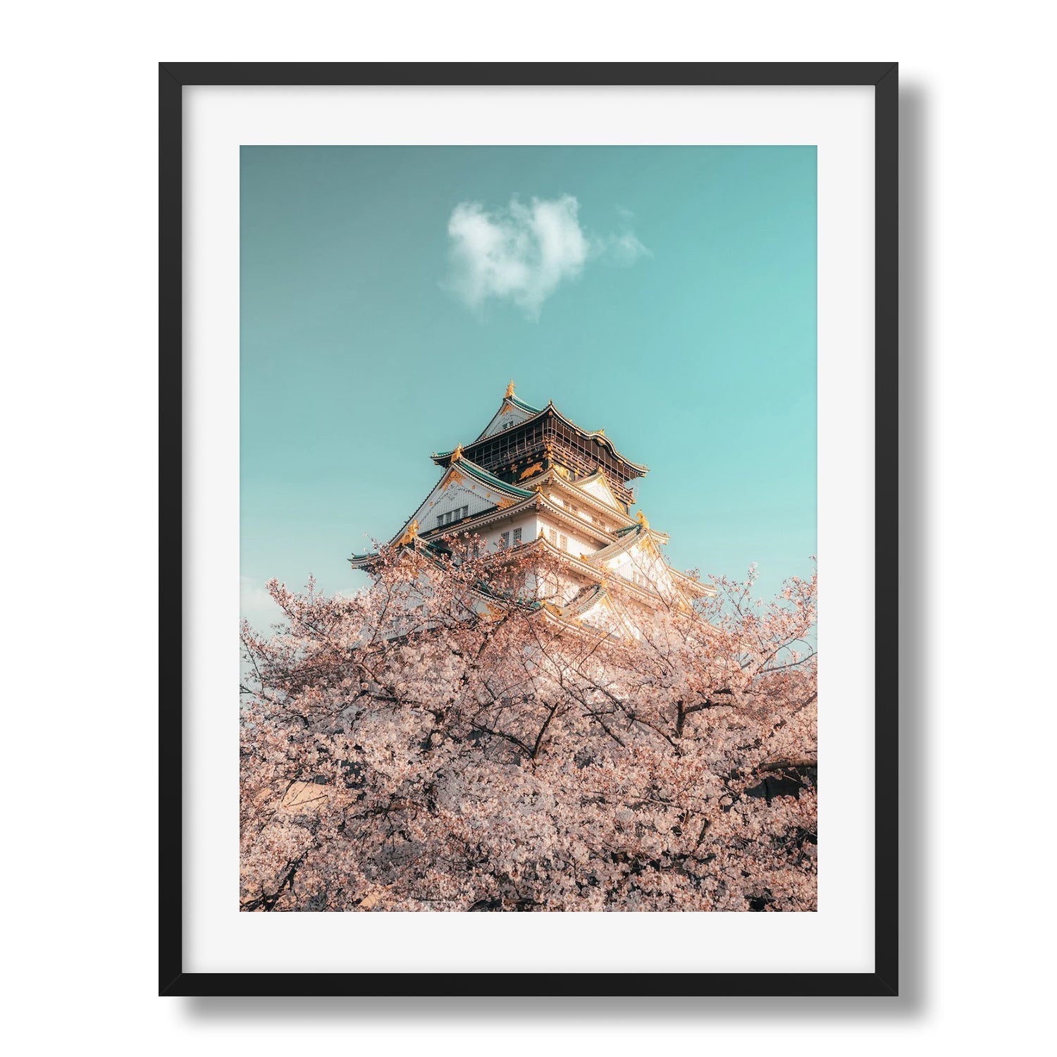Osaka Castle Cherry Blossoms - Peter Yan Studio