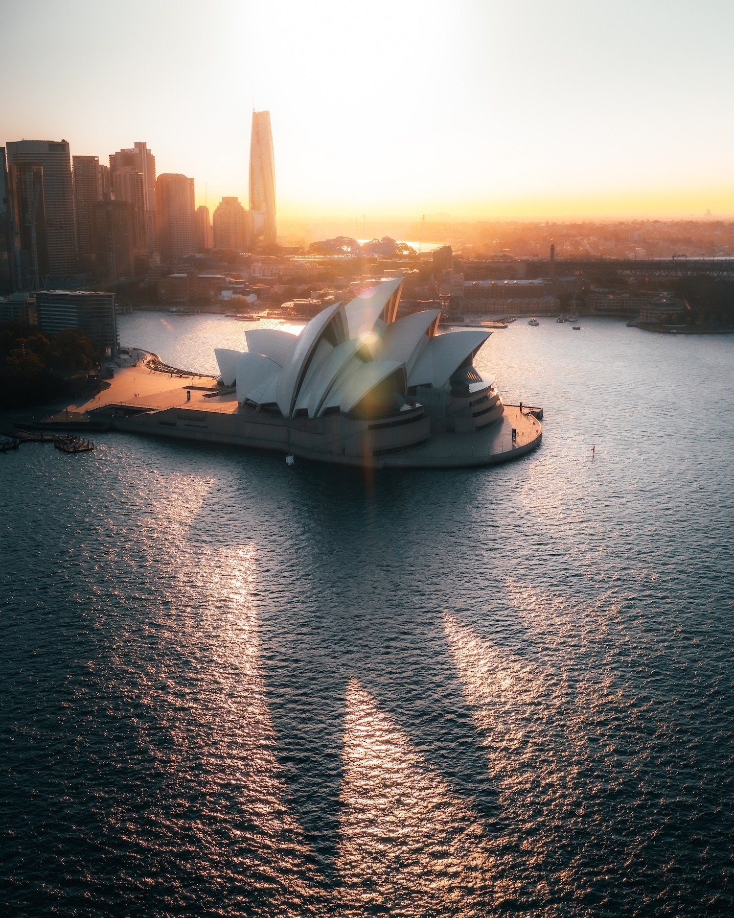 Sydney Opera House | Premium Framed Print - Peter Yan Studio